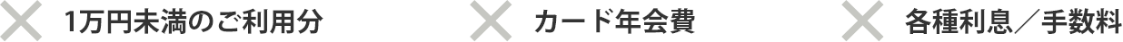 ×1万円未満のご利用分 ×カード年会費 ×各種利息/手数料